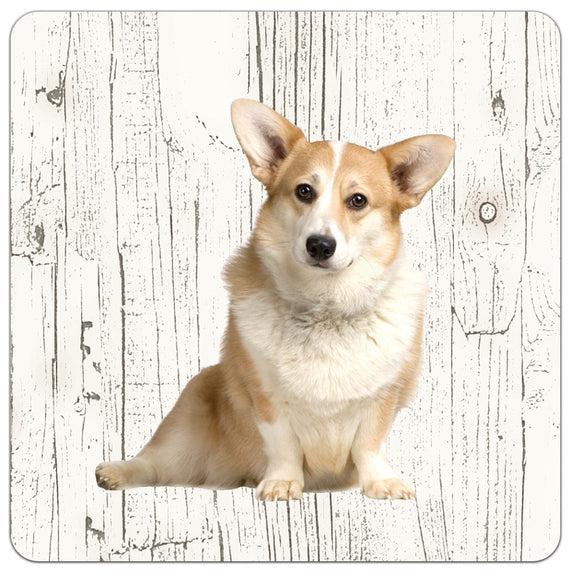 Hond Welsh Corgi Pembroke | Houten Onderzetters 6 Stuks