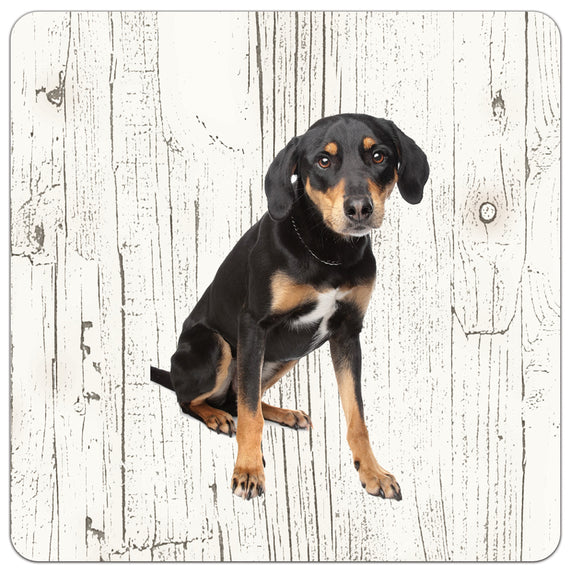 Hond Appenzeller Sennerhond | Houten Onderzetters 6 Stuks