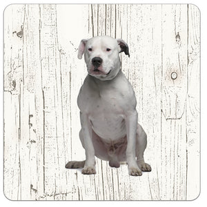 Hond Dogo Argentino | Houten Onderzetters 6 Stuks