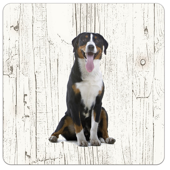 Hond Grote Zwitserse Sennerhond | Houten Onderzetters 6 Stuks