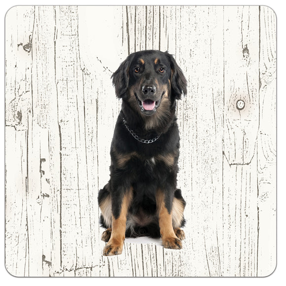 Hond Hovawart | Houten Onderzetters 6 Stuks