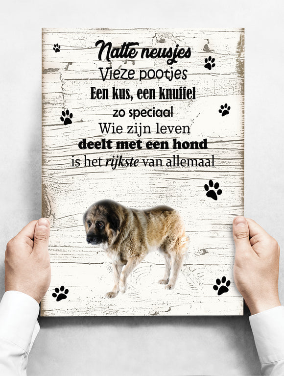 Wandbord hond: Kaukasische Aucharka - 30 x 42 cm