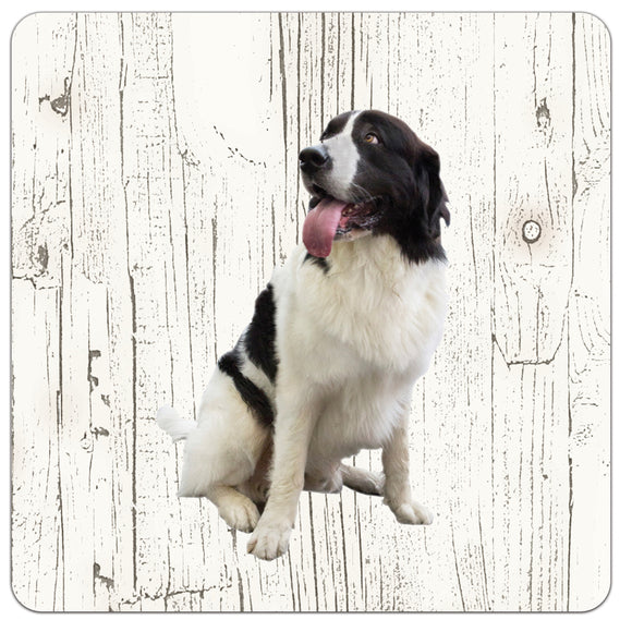 Hond Landseer ECT | Houten Onderzetters 6 Stuks