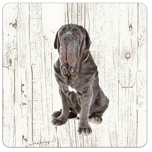Hond Mastino Napoletano | Houten Onderzetters 6 Stuks