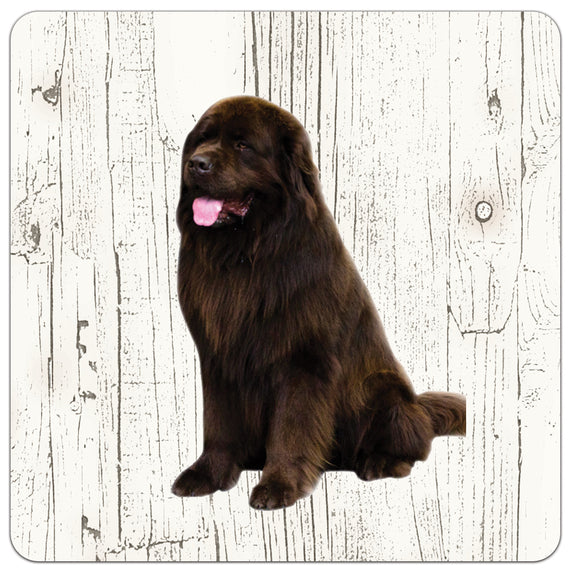 Hond Newfoundlander | Houten Onderzetters 6 Stuks