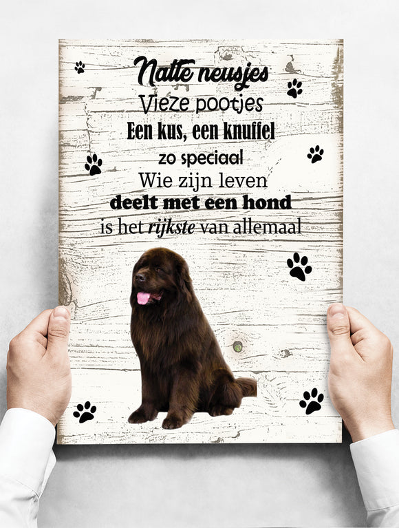 Wandbord hond: Newfoundlander - 30 x 42 cm