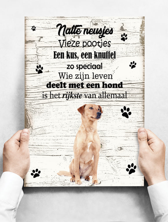 Wandbord hond: Oostenrijkse Kortharige Pincher - 30 x 42 cm