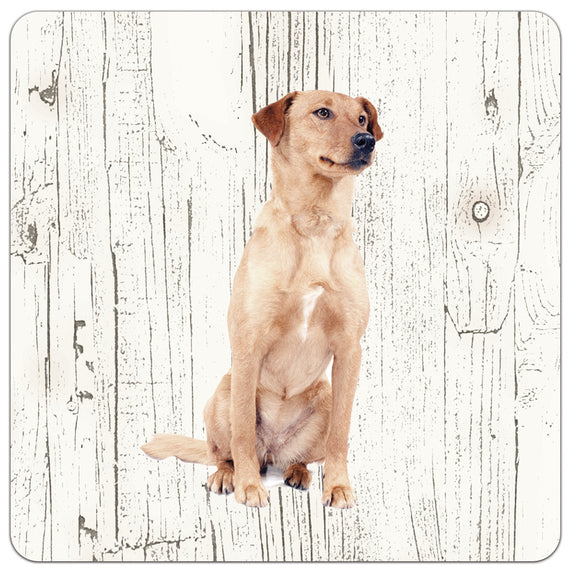 Hond Oostenrijkse Kortharige Pincher | Houten Onderzetters 6 Stuks