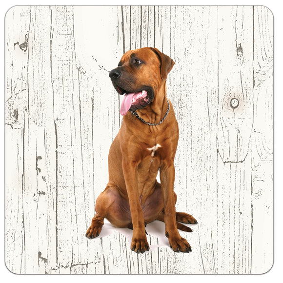 Hond Tosa | Houten Onderzetters 6 Stuks