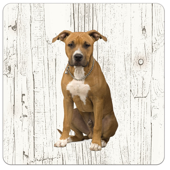 Hond American Staffordshire Terrier | Houten Onderzetters 6 Stuks