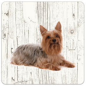 Hond Australische Silky Terier | Houten Onderzetters 6 Stuks