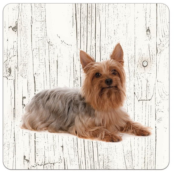 Hond Australische Silky Terier | Houten Onderzetters 6 Stuks