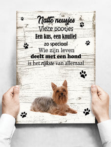 Wandbord hond: Australische Silky Terier - 30 x 42 cm