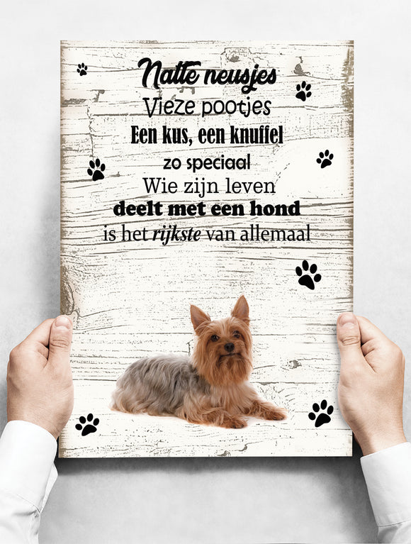 Wandbord hond: Australische Silky Terier - 30 x 42 cm