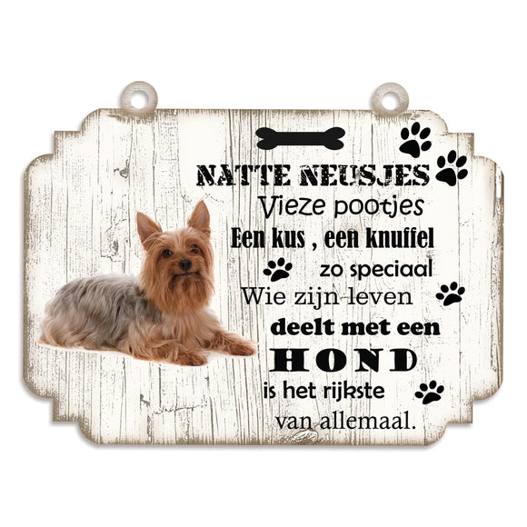 Spreukenbordje hond: Australische Silky Terier
