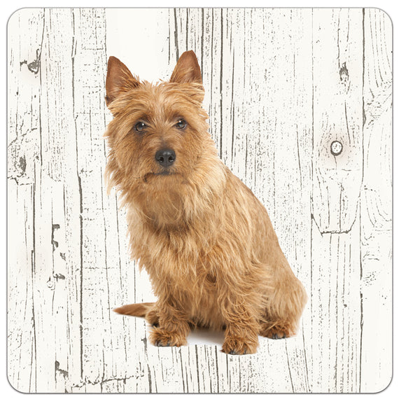Hond Australische Terier | Houten Onderzetters 6 Stuks
