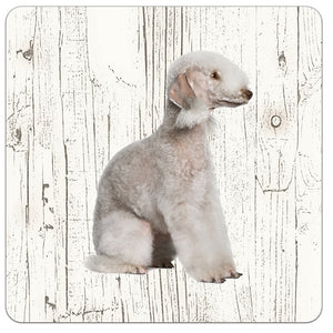 Hond Bedlington Terier | Houten Onderzetters 6 Stuks