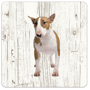 Hond Bull Terriër Miniatuur | Houten Onderzetters 6 Stuks