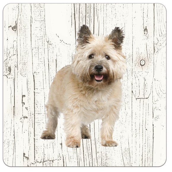 Hond Cairn Terriër | Houten Onderzetters 6 Stuks