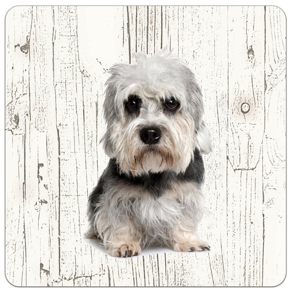 Hond Dendie Dinmond Terriër | Houten Onderzetters 6 Stuks