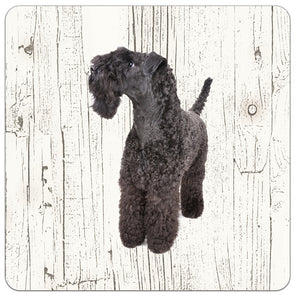 Hond Kerry Blue Terriër | Houten Onderzetters 6 Stuks