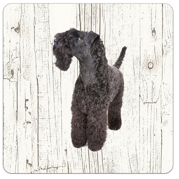 Hond Kerry Blue Terriër | Houten Onderzetters 6 Stuks