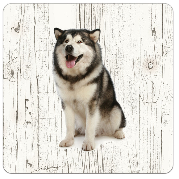 Hond Alaska Malmute | Houten Onderzetters 6 Stuks