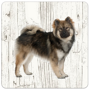 Hond Eurasiër | Houten Onderzetters 6 Stuks