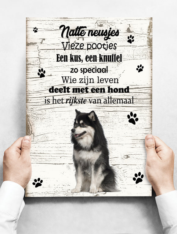 Wandbord hond: Finse Lappenhond - 30 x 42 cm