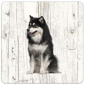 Hond Finse Lappenhond | Houten Onderzetters 6 Stuks
