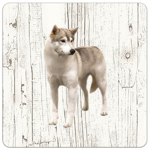 Hond Groenlandhond | Houten Onderzetters 6 Stuks
