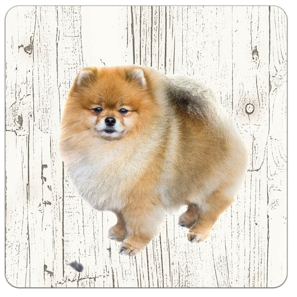 Hond Keeshond Dwerg | Houten Onderzetters 6 Stuks