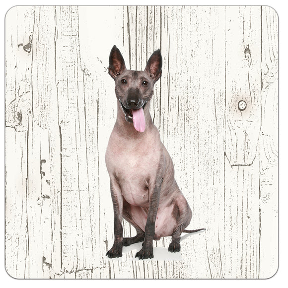 Hond Mexicaanse Naakthond | Houten Onderzetters 6 Stuks