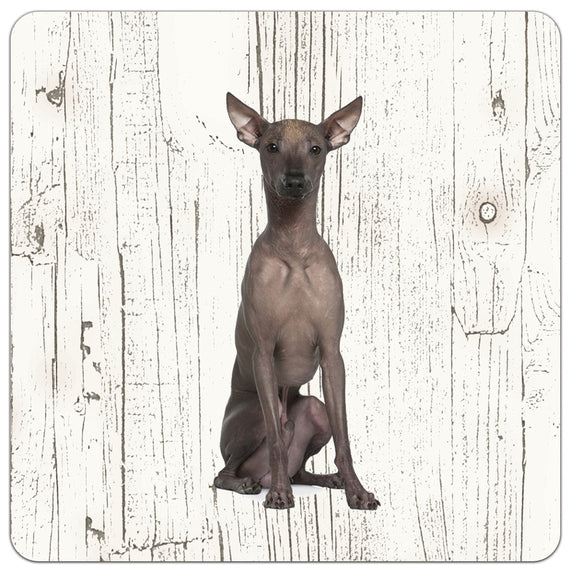 Hond Peruaanse Naakthond | Houten Onderzetters 6 Stuks