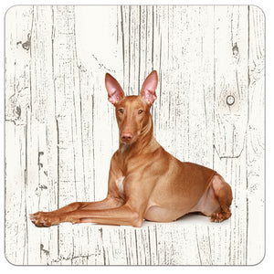 Hond Pharaohond | Houten Onderzetters 6 Stuks