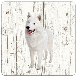 Hond Samojeet | Houten Onderzetters 6 Stuks