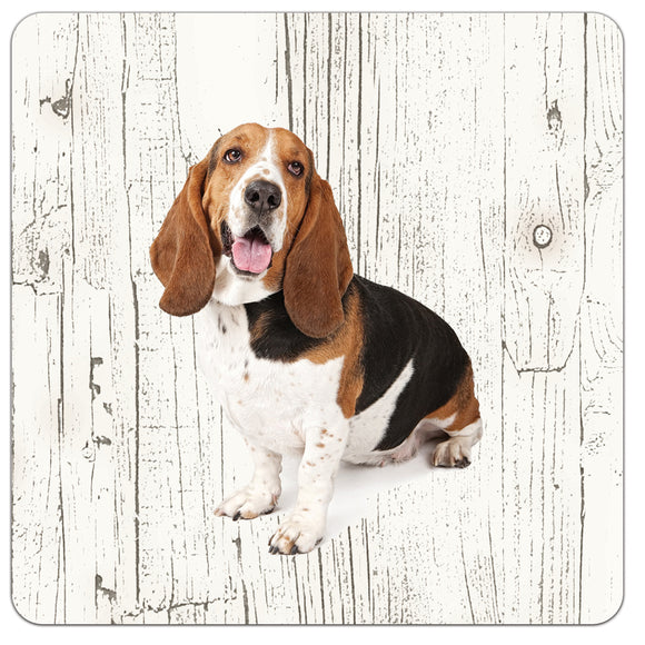Hond Basset Artésien Normand | Houten Onderzetters 6 Stuks