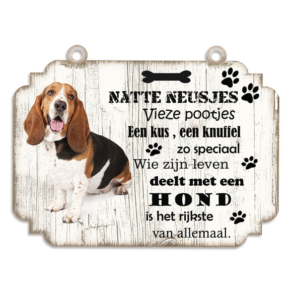 Spreukenbordje hond: Basset Artésien Normand