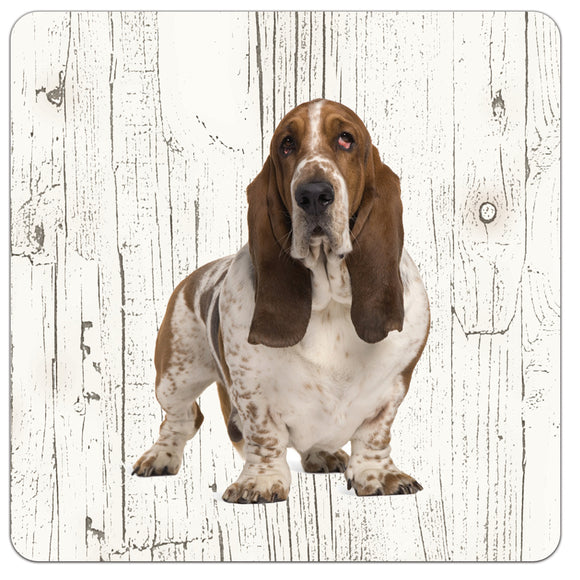 Hond Basset Hound | Houten Onderzetters 6 Stuks