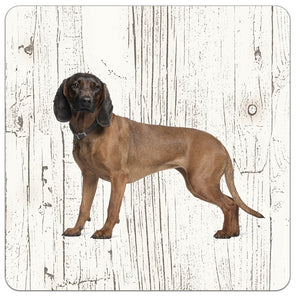 Hond Beierse Bergzweethond | Houten Onderzetters 6 Stuks