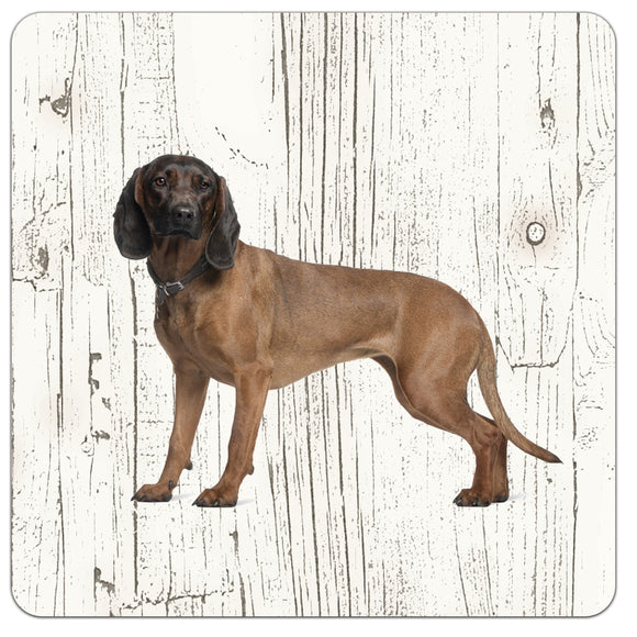 Hond Beierse Bergzweethond | Houten Onderzetters 6 Stuks