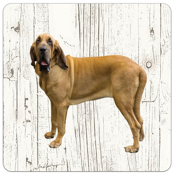 Hond Bloedhond | Houten Onderzetters 6 Stuks