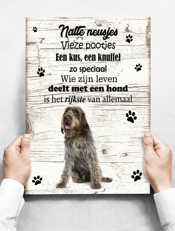 Wandbord hond: Korthals Griffon - 30 x 42 cm