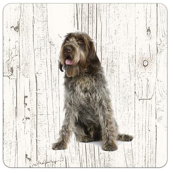 Hond Korthals Griffon | Houten Onderzetters 6 Stuks