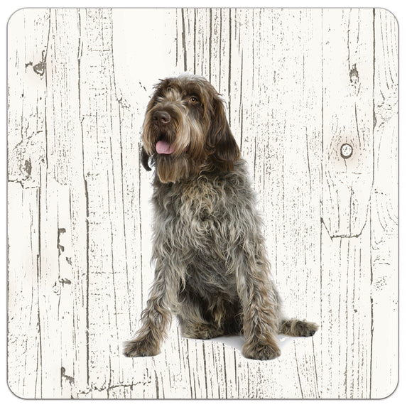 Hond Korthals Griffon | Houten Onderzetters 6 Stuks