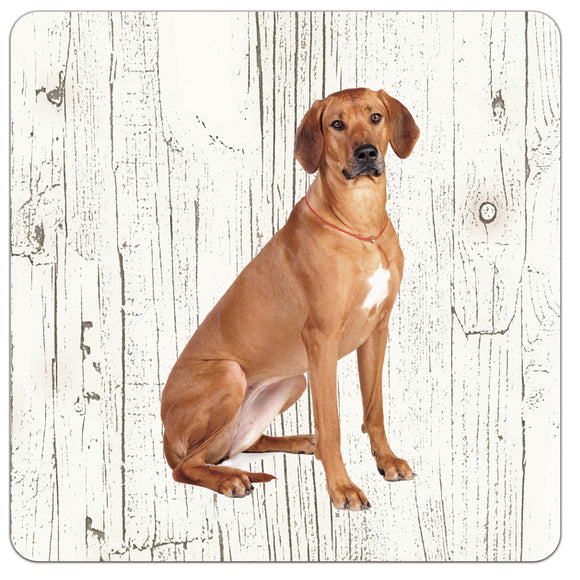 Hond Rhodesian Ridgeback | Houten Onderzetters 6 Stuks