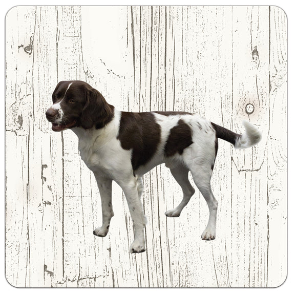 Hond Drentsche Patrijshond | Houten Onderzetters 6 Stuks