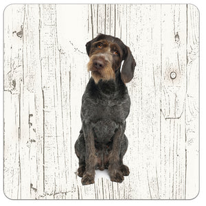 Hond Duitse Staande Hond Draadhaar | Houten Onderzetters 6 Stuks