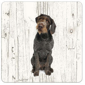 Hond Duitse Staande Hond Draadhaar | Houten Onderzetters 6 Stuks