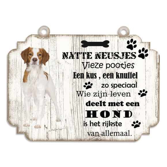 Spreukenbordje hond: Epagneul Breton